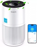 GoveeLife Mini Air Purifier Review